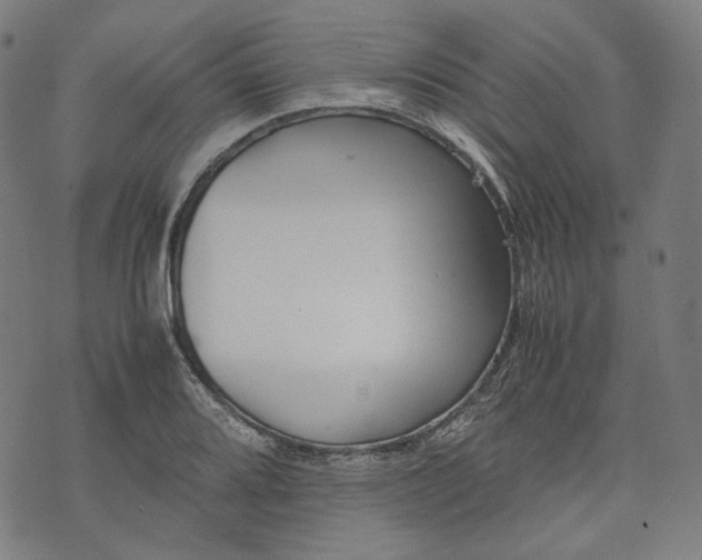 X0000074211080200609081525