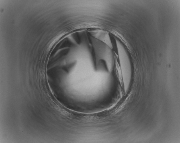 X0000074211081200609081525