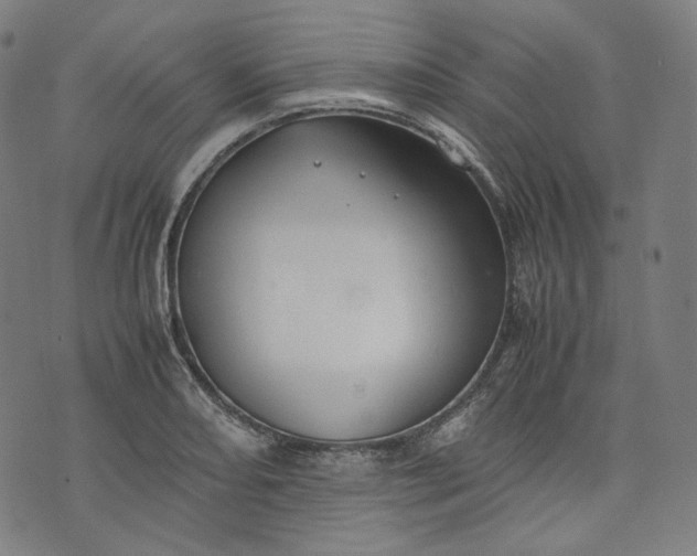 X0000074211082200609081525