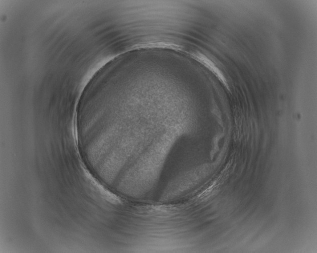 X0000074211084200609081525