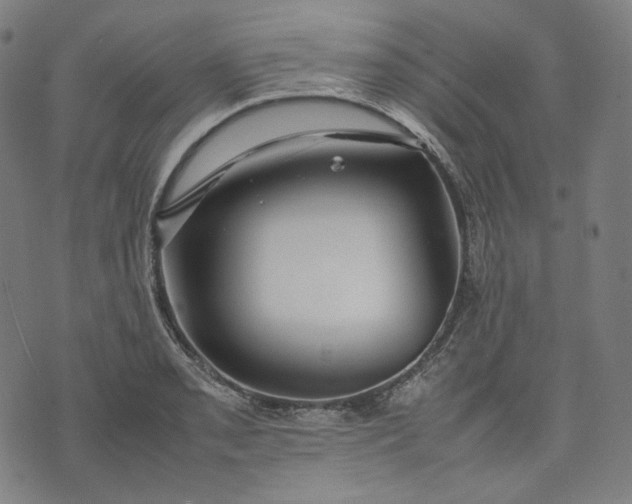 X0000074211085200609081525