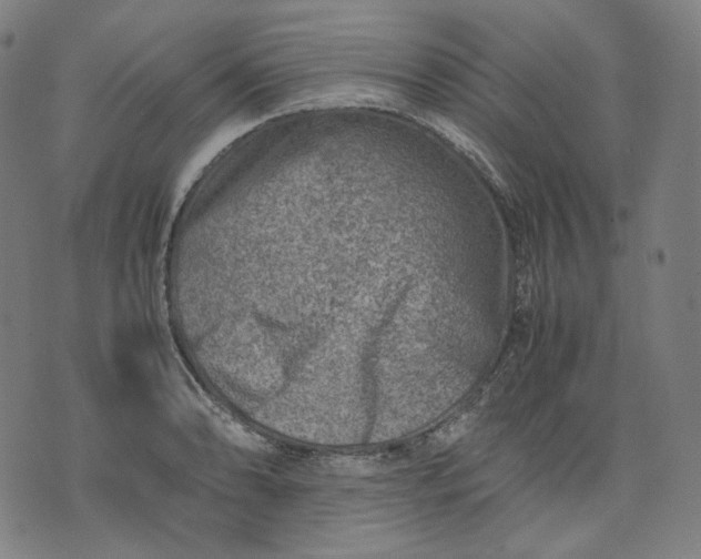 X0000074211086200609081525