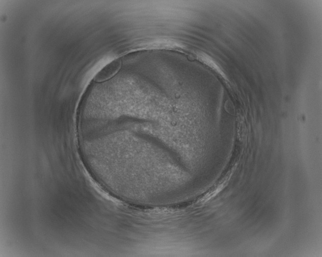 X0000074211087200609081525