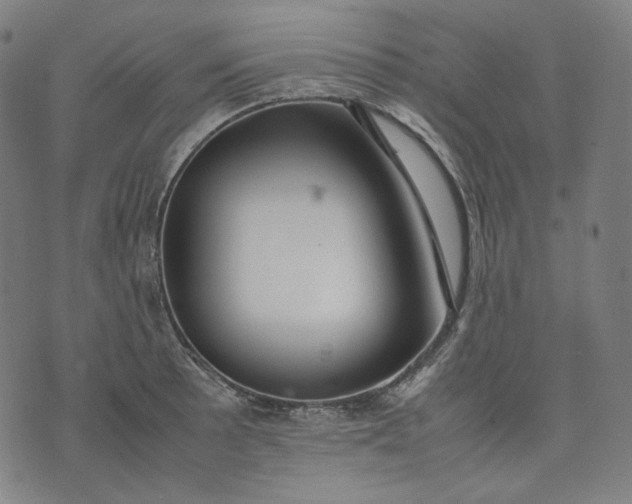 X0000074211089200609081525