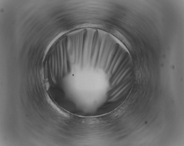 X0000074211092200609081525