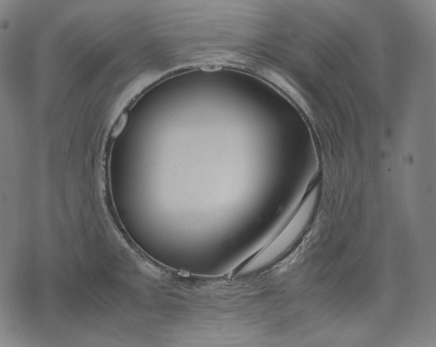 X0000074211093200609081525