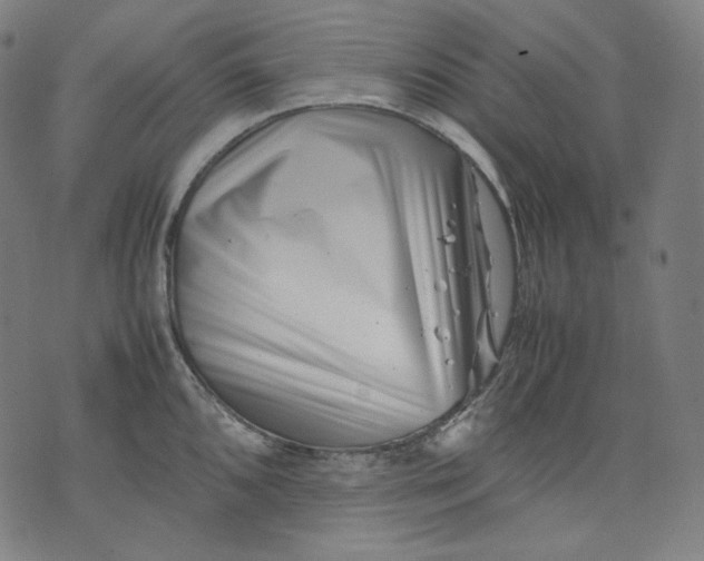 X0000074211096200609081525