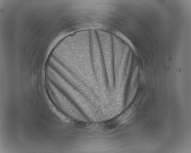 X0000074211099200609081525