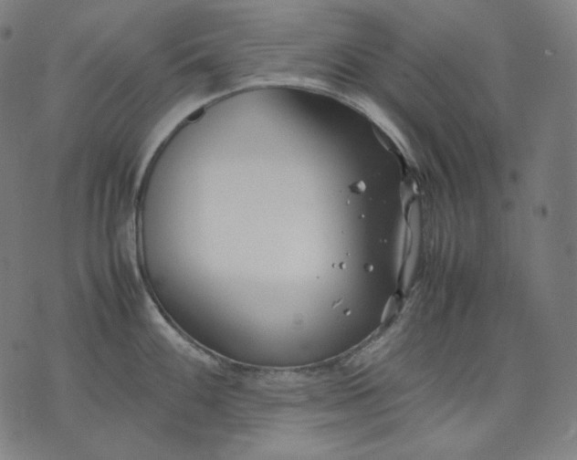 X0000074211100200609081525