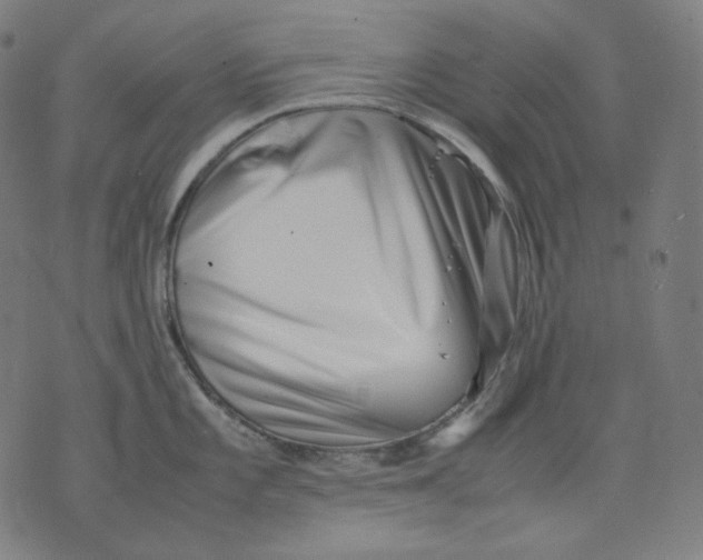 X0000074211101200609081525