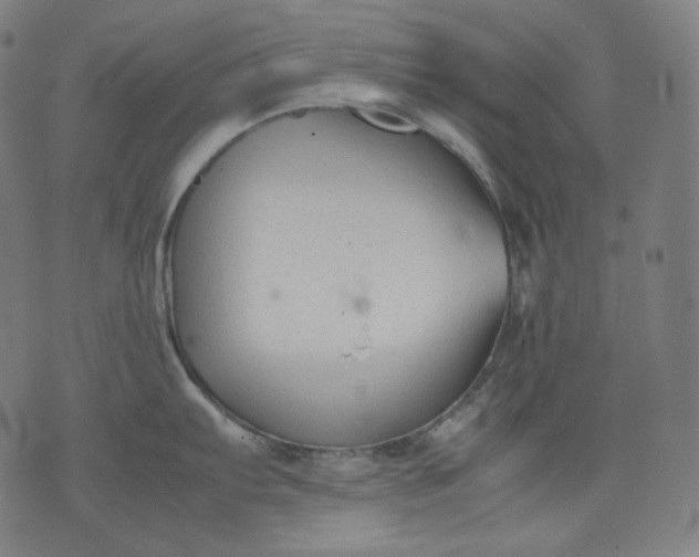 X0000074211103200609081525