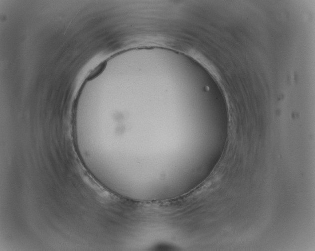 X0000074211104200609081525