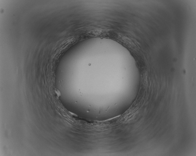 X0000074211105200609081524