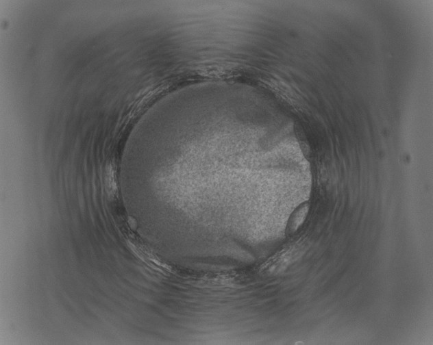 X0000074211106200609081524