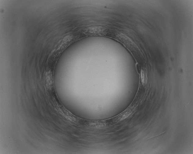 X0000074211107200609081524