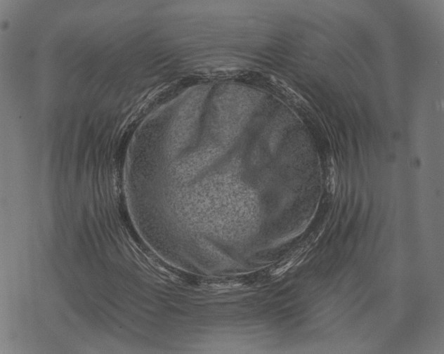 X0000074211108200609081524