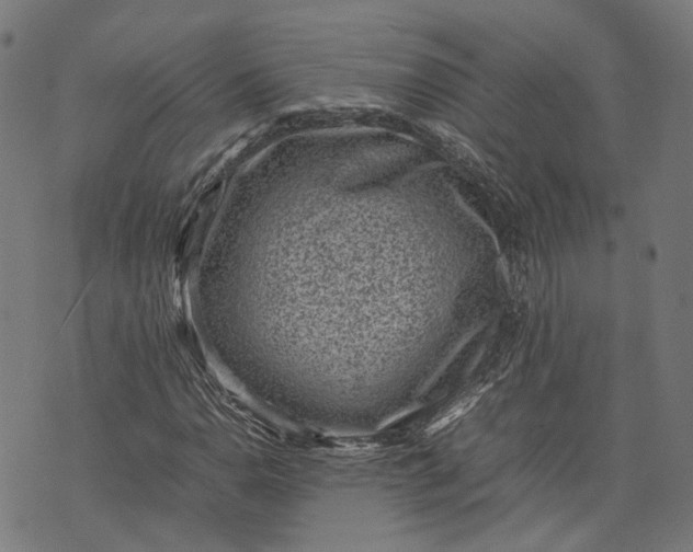 X0000074211110200609081524