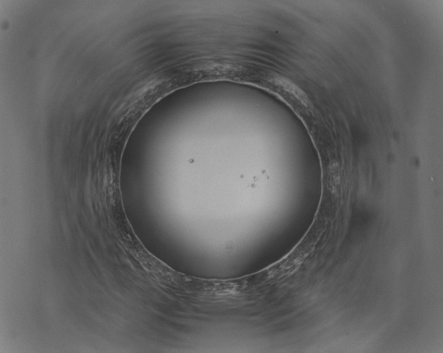 X0000074211111200609081524