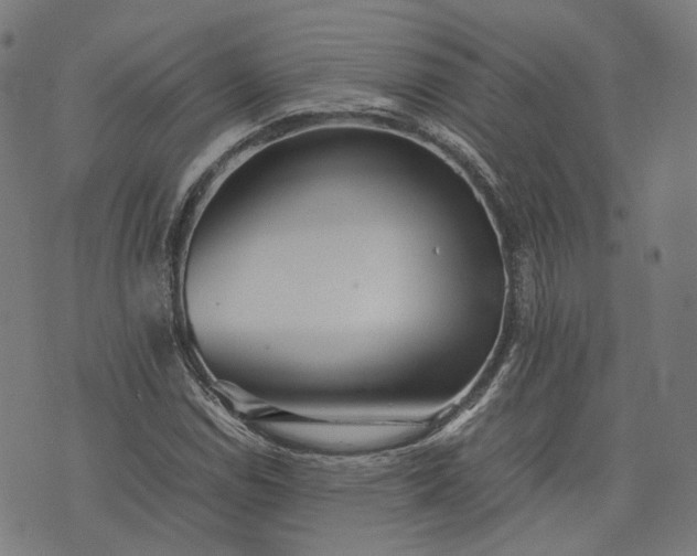 X0000074211114200609081524