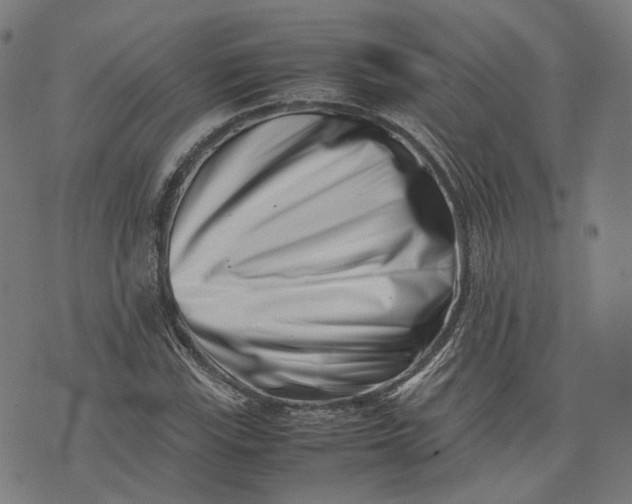 X0000074211115200609081524