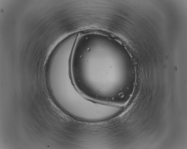 X0000074211118200609081524