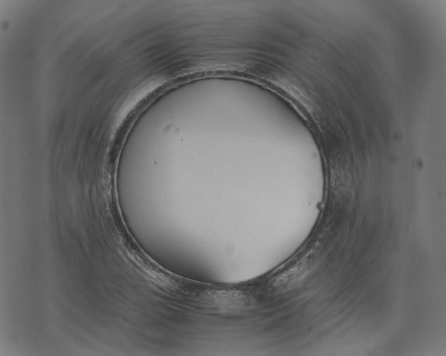 X0000074211119200609081524