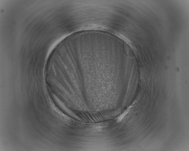 X0000074211120200609081524