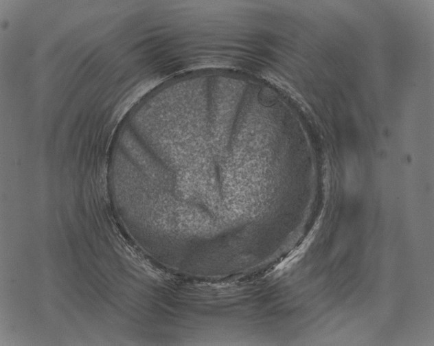 X0000074211121200609081524