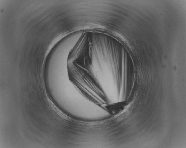 X0000074211122200609081524