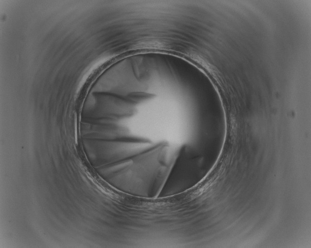 X0000074211123200609081524