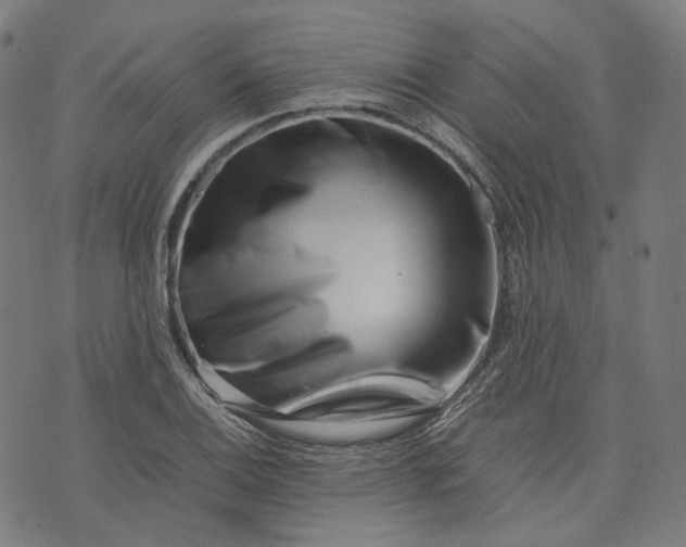 X0000074211124200609081524