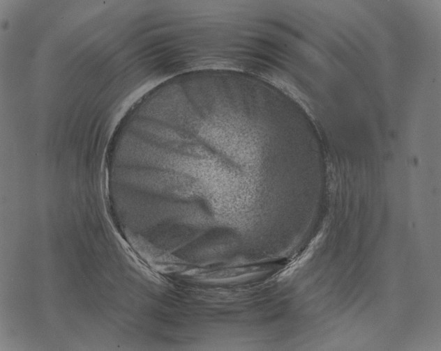 X0000074211125200609081524