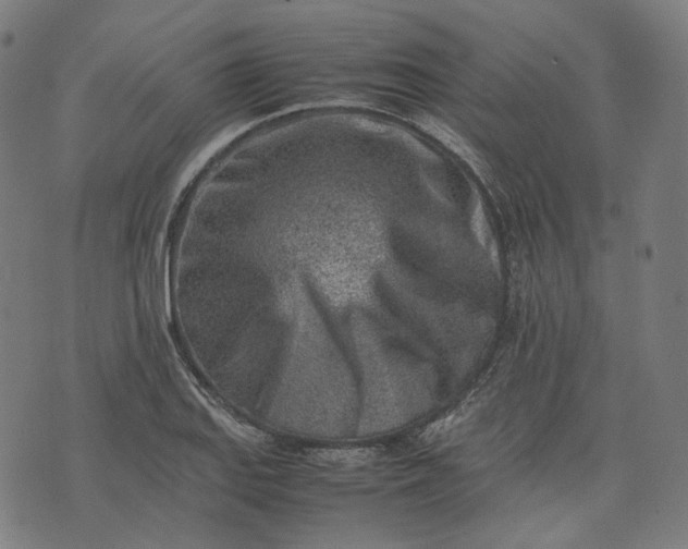 X0000074211127200609081524