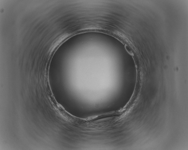 X0000074211129200609081524