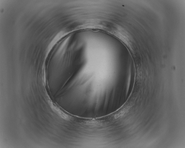 X0000074211132200609081524