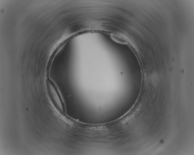 X0000074211133200609081524