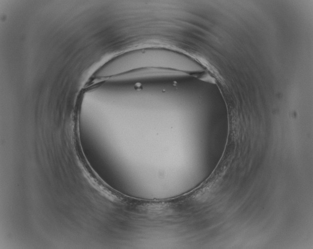 X0000074211134200609081524