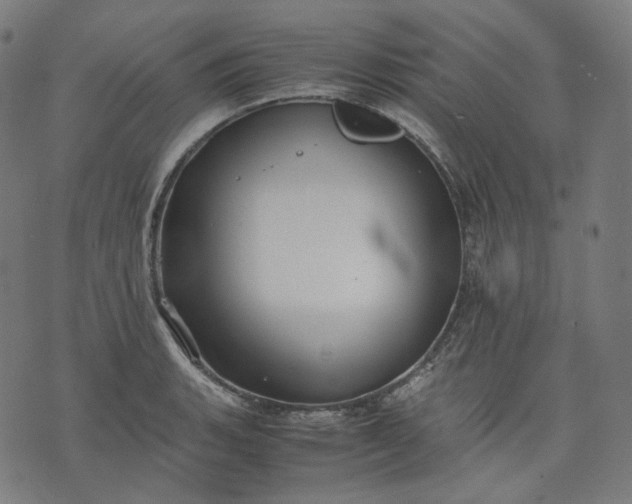 X0000074211135200609081524