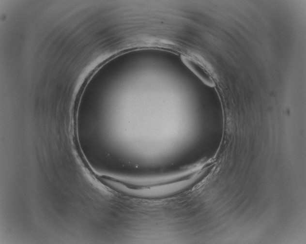 X0000074211136200609081524