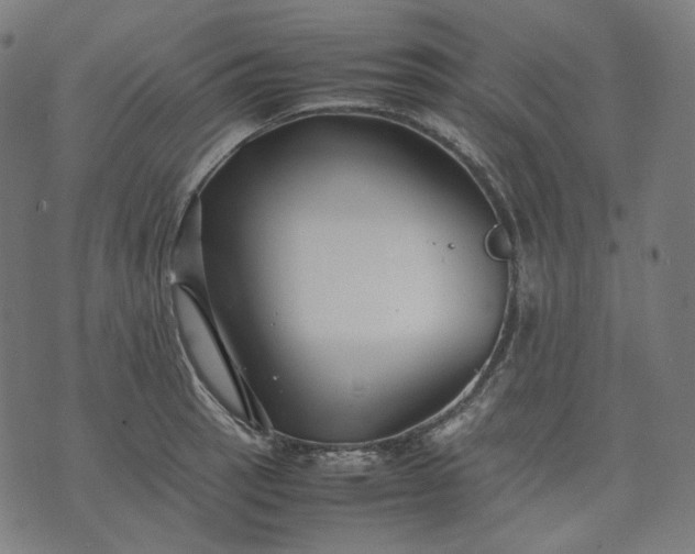 X0000074211137200609081524