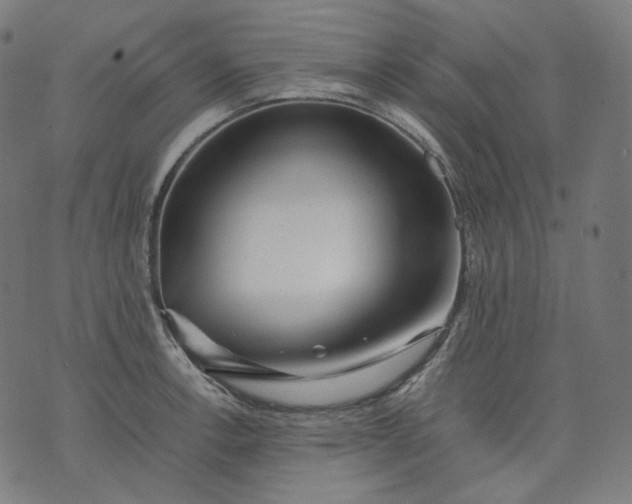 X0000074211138200609081524