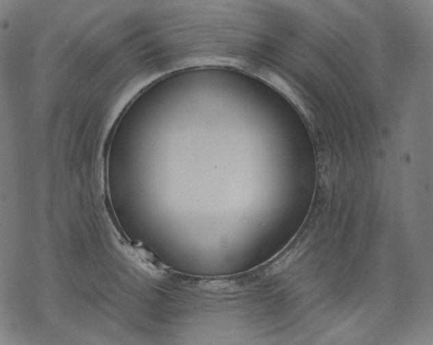 X0000074211140200609081524