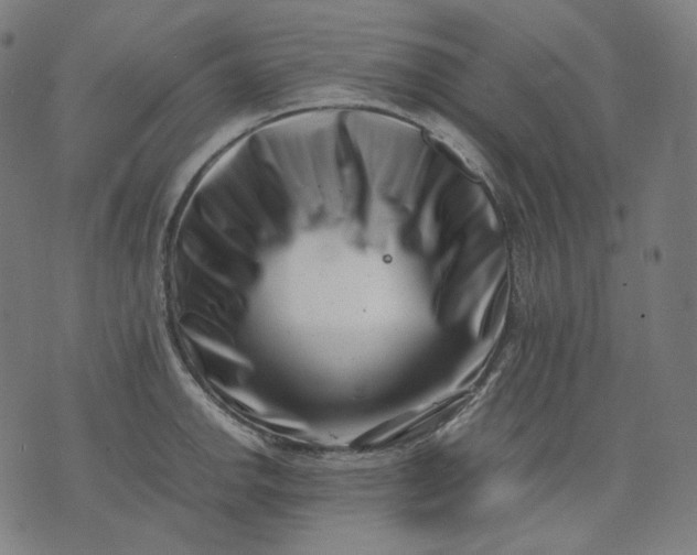 X0000074211142200609081524