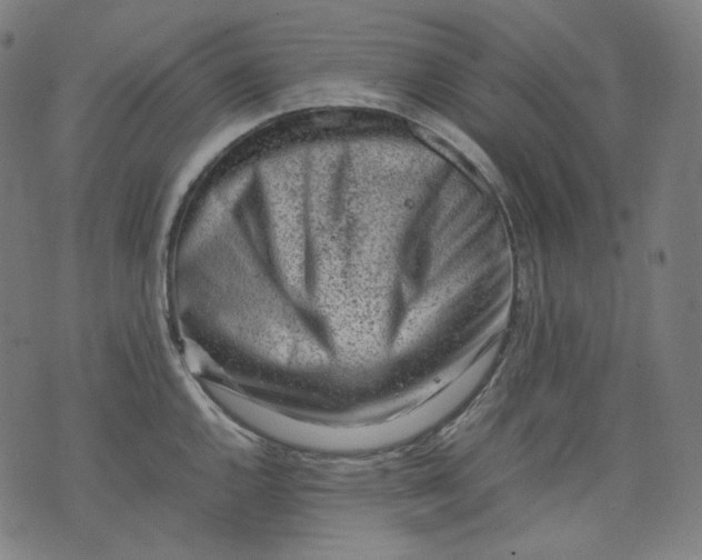 X0000074211144200609081524