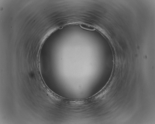 X0000074211145200609081524