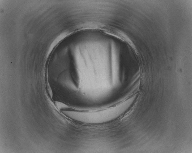 X0000074211146200609081524