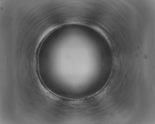 X0000074211147200609081524