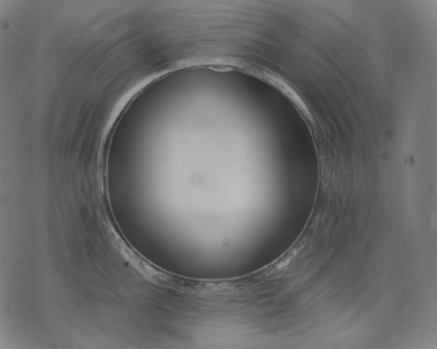 X0000074211148200609081524