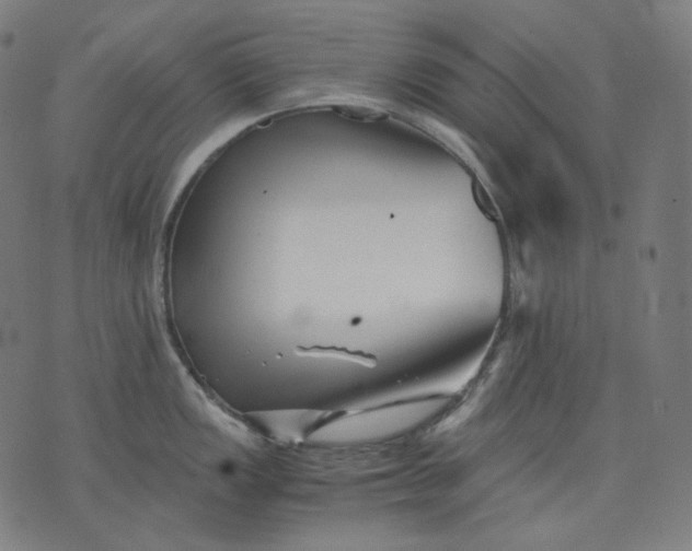 X0000074211149200609081524