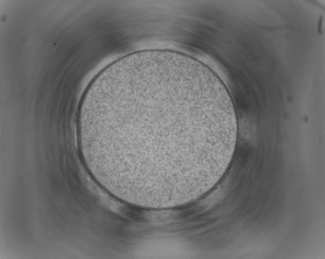 X0000074211150200609081524